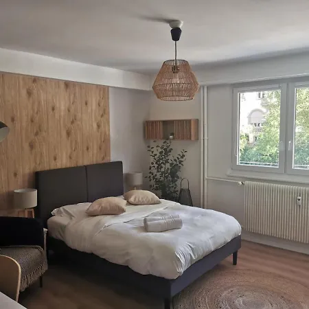 Marnesia - Avec Vue Sur Les Quais * Strasbourg